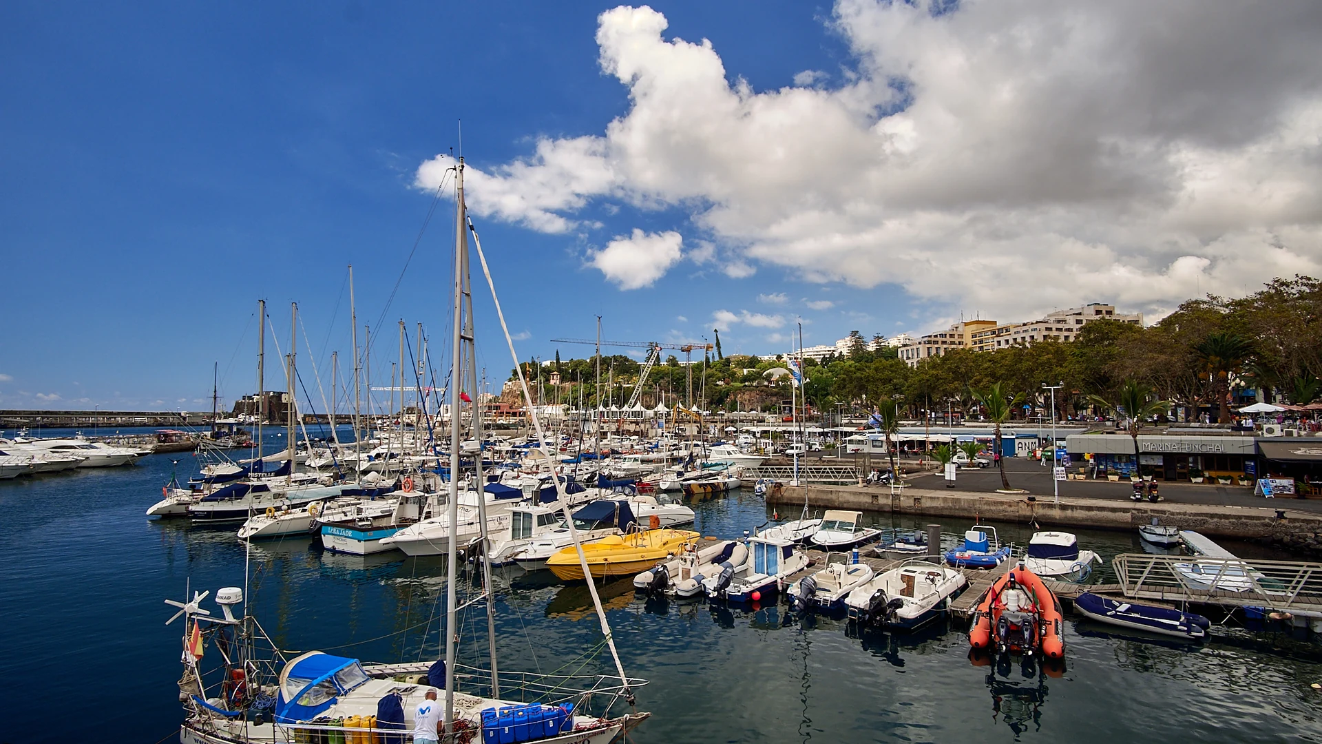 Yachts and tour boats moored in Funchal marina under a blue sky, Madeira