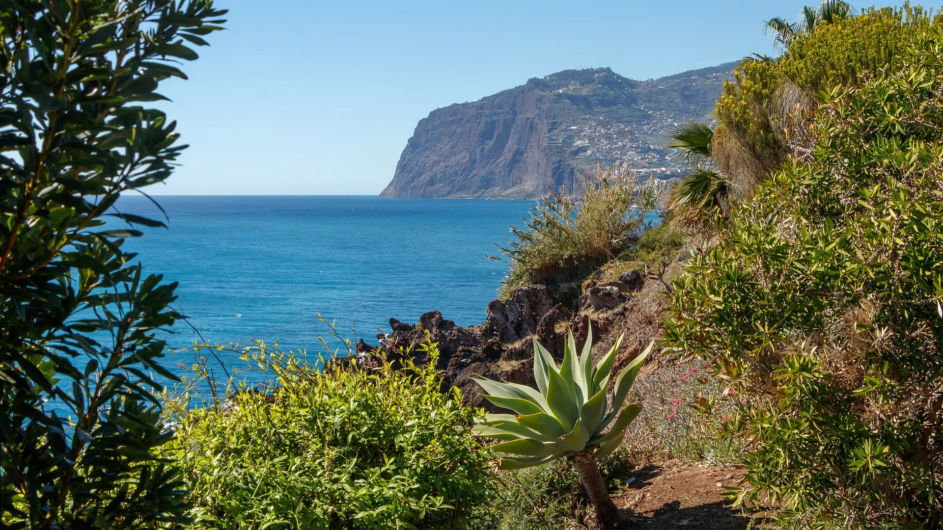 The coast west of Funchal looking towards the Cabo Girão cliff, Madeira