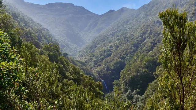 The forested Caldeirão Verde valley on Madeira's north coast, with the waterfall visible below the levada path