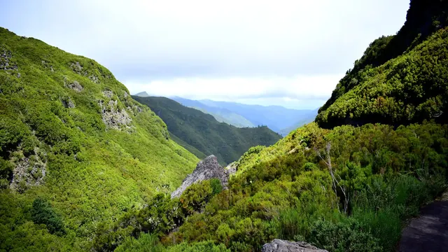 A green mountain valley and walking trail in Madeira's interior