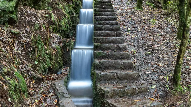 A stepped levada waterfall flowing through laurel forest near Ribeiro Frio, Madeira