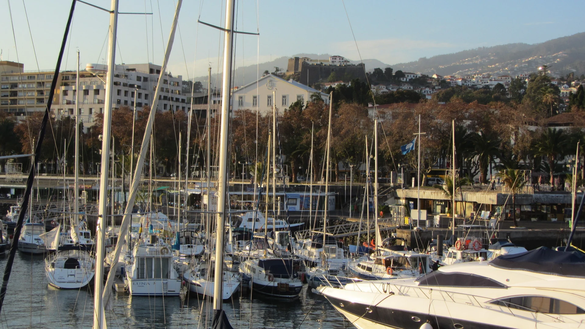 Boats moored in the Marina do Funchal, where Madeira's whale and dolphin trips set off