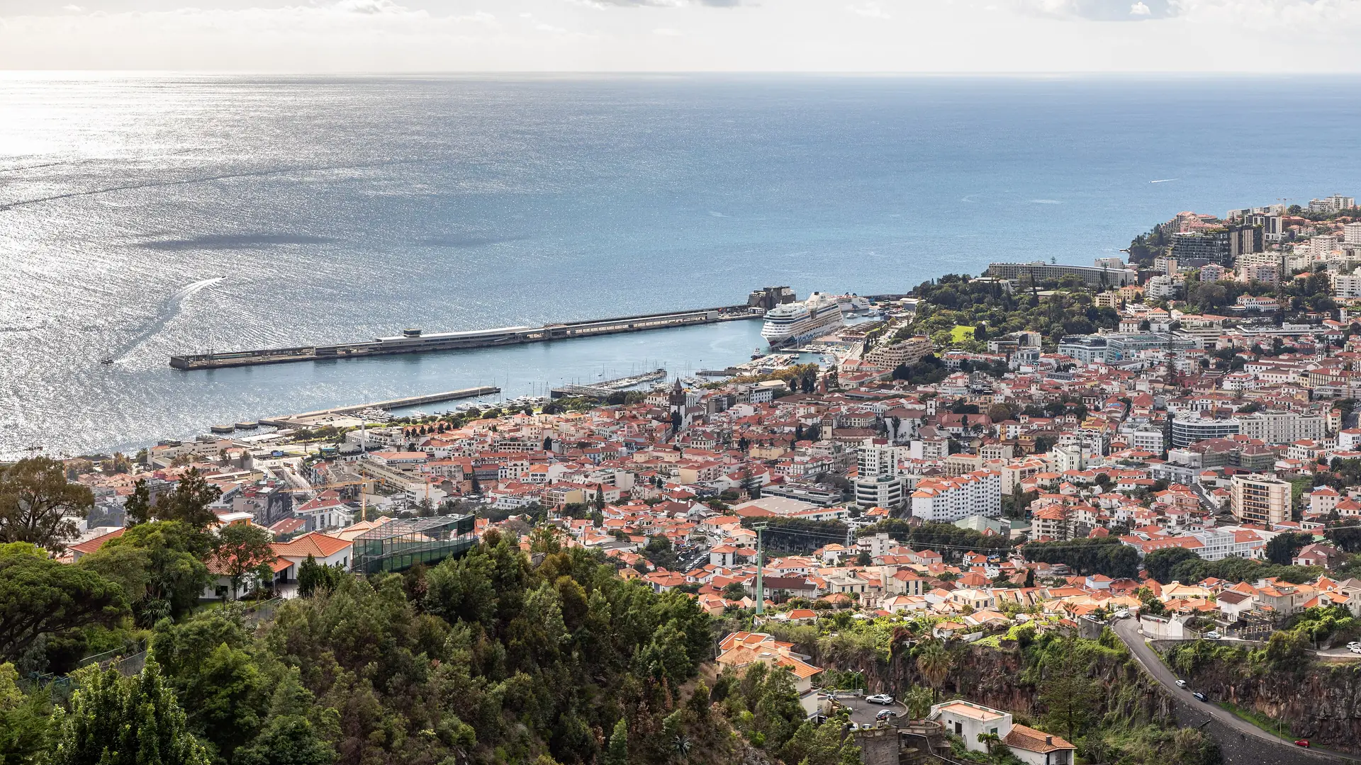 The bay and harbour of Funchal seen from the hillside gardens above the city, Madeira